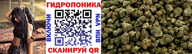 Купить Аргун Бошки марихуана OG Kush